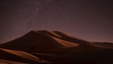 Travel desert safari with your rented car - flaunt your style!