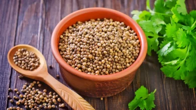 Coriander