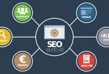 Seo Service in jaipur