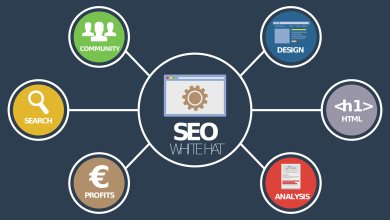 Seo Service in jaipur