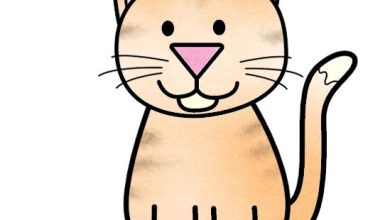 Cat Drawing