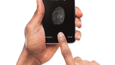Everything You Should Know About Biometrics