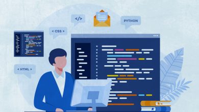 Web app development