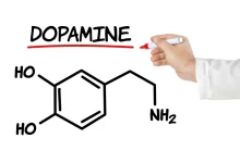 Ten Natural Ways to Increase Dopamine Level